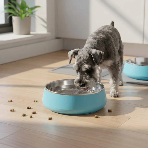 Dog drinking from bowl lifestyle