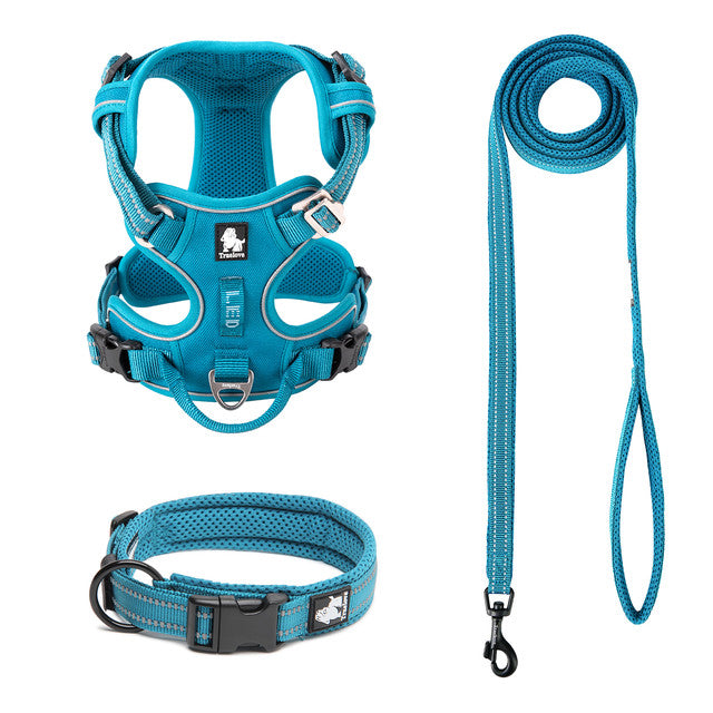Reflective No-Pull Dog Leash & Collar Set — Adjustable Nylon